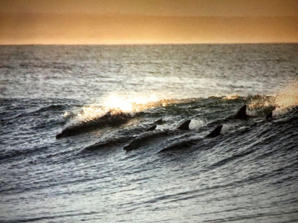 Amelia Island Oceanfront Condo Amelia City Esterno foto